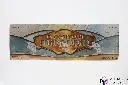 PS_MTG_BoosterBox_FR_LesCicatricesDeMirrodin_Side1.webp