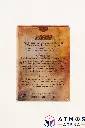 PS_MTG_Deck_FR_TSFWF_Back.webp