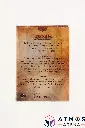 PS_MTG_Deck_FR_TSHC_Back.webp