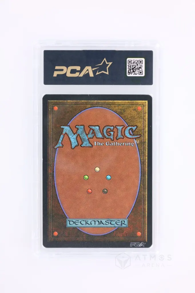 PS_MTG_Cards_IT_TTaPV_9554_Back.webp