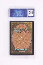 PS_MTG_Cards_EN_JLF_4436_Back.webp