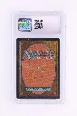 PS_MTG_Cards_EN_Tundra_3043_Back.webp