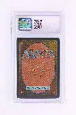 PS_MTG_Cards_EN_Taiga_3071_Back.webp