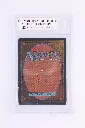 PS_MTG_Cards_EN_Bayou_0107_Back.webp