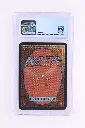 PS_MTG_Cards_EN_Fireball_6059_Back.webp