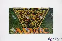 Magic The Gathering : Visions - Display