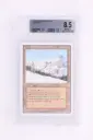 Magic The Gathering : Taiga 3ED-287 - BGS 8.5