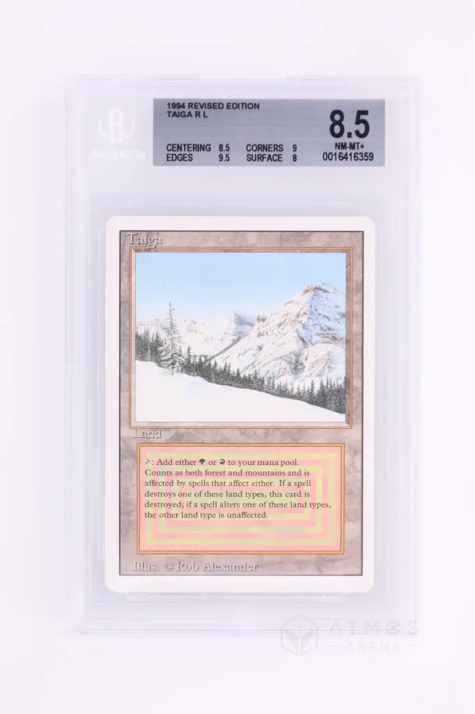 Magic The Gathering : Taiga 3ED-287 - BGS 8.5