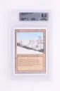 Magic The Gathering : Taiga 3ED-287 - BGS 8.5