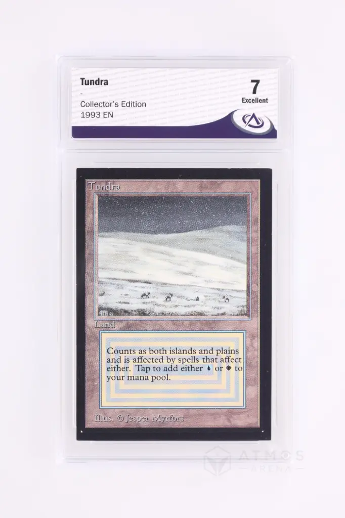 Magic The Gathering : Tundra CED-285 - CA 7