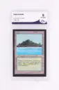 Magic The Gathering : Tropical Island CED-284 - CA 8