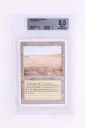 Magic The Gathering : Savannah 3ED-285 - BGS 8.5