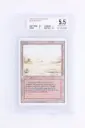 Magic The Gathering : Badlands 3ED-282 - BGS 5.5