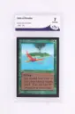 Magic The Gathering : Birds of Paradise CED-187 - CA 7