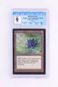 Magic The Gathering : Black Lotus CED-233 - CGC 9
