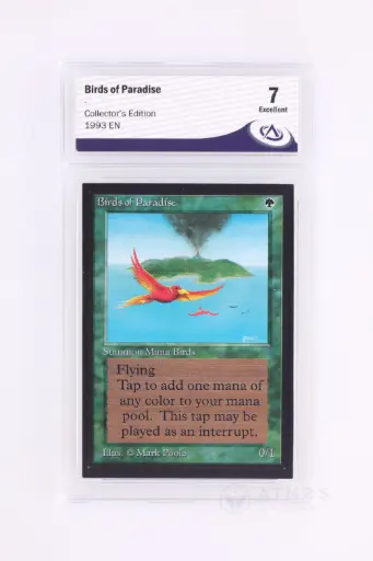 [493173398] Magic The Gathering : Birds of Paradise CED-187 - CA 7